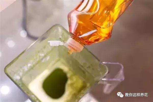 如何对付养花中的小黑飞,花盆的小黑飞可用酒精喷吗