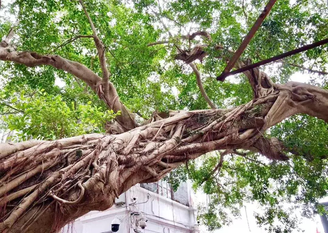 无敌海景网红酒店,深圳顶级海景酒店