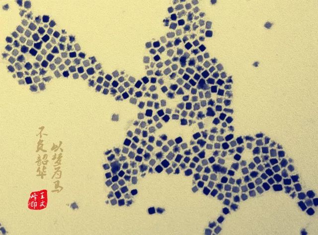 微观世界｜这样的世界杯，你见过吗？