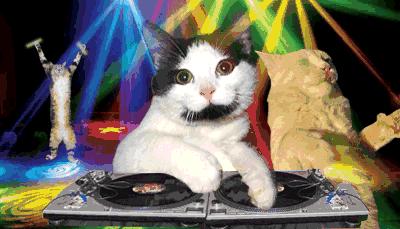 扎透心了！那些网红护肤单品风吹的很大，用完才知道是真鸡肋！