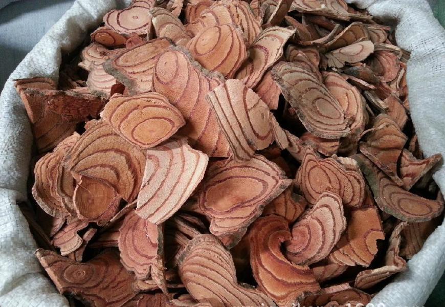 豆科鸡血藤属植物,鸡血藤是植物吗