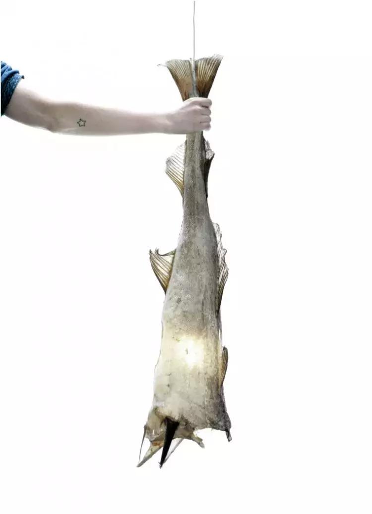 冰岛足球的风格,冰岛室内足球场