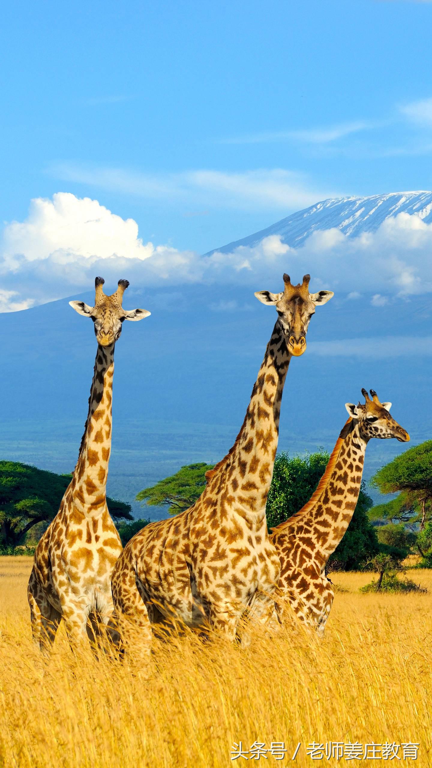 50个趣味数学初中题,20道趣味数学题三年级上册