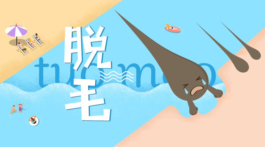 30分钟脱毛神器,最有效最实惠的脱毛神器