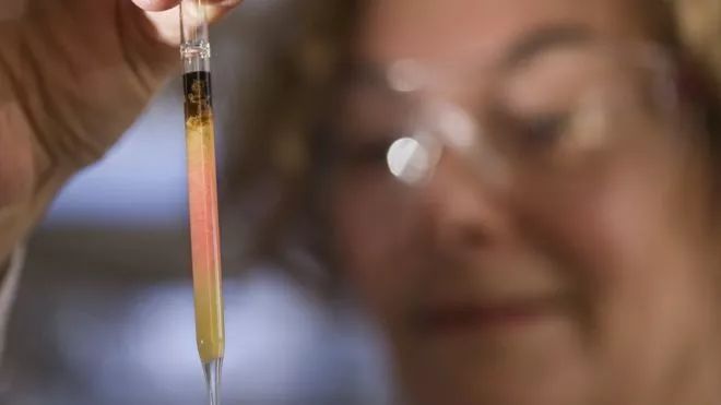 上海特斯拉超级工厂新闻发布会,上海特斯拉超级工厂开放日