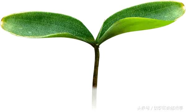 《我不是药神》火了：原型是无锡一家针织老板，货真价实的纺织人