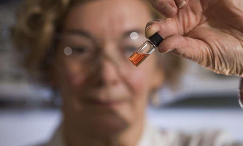 撒哈拉沙漠里的神秘生物,撒哈拉沙漠中的神秘生物