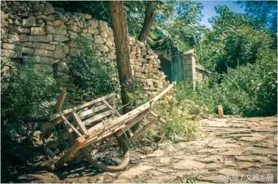 一个80后女大学生拿到！成功打造了山东省唯一国家级田园综合体