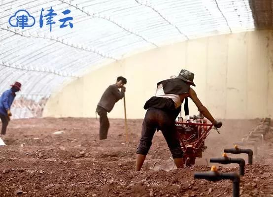 *藏西**昌都建起“天津新村”,吃上“天津菜”!