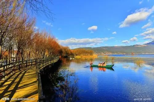 冬病夏治贴三伏贴的通知,冬病夏治三伏贴成人贴哪儿