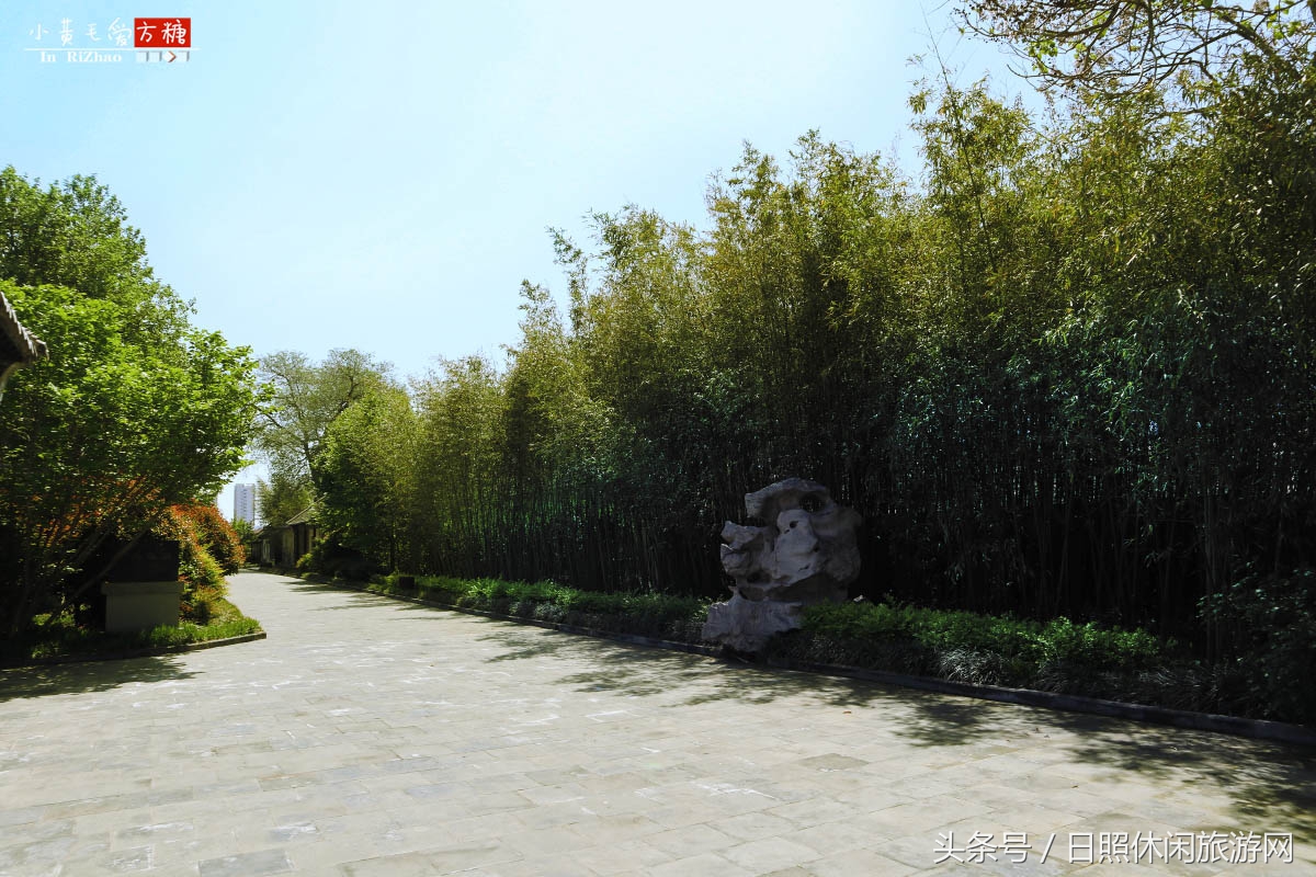 日照浴场海鲜攻略,日照海滨浴场旅游攻略