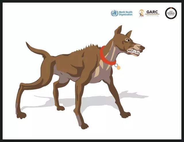 可怕！半岁宝宝被大狗叼走，头骨被咬穿，需做开颅手术！避免被狗咬应该这么做……