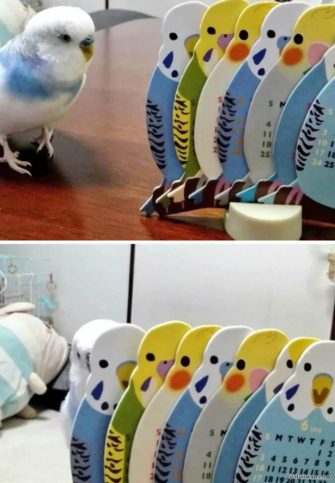 赢在起跑线上的孩子视频搞笑,萌娃发量惊人好像蒙奇奇