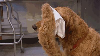 脑洞大开的降温,脑洞大开降温