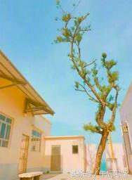 整理帖｜中国这两个拥有马卡龙配色的海滨城市，5天自由行就搞定