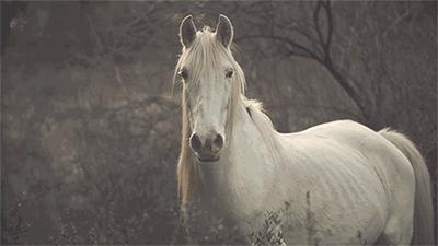 兴源环境有可能成为十倍牛股吗,兴源环境会不会成妖股