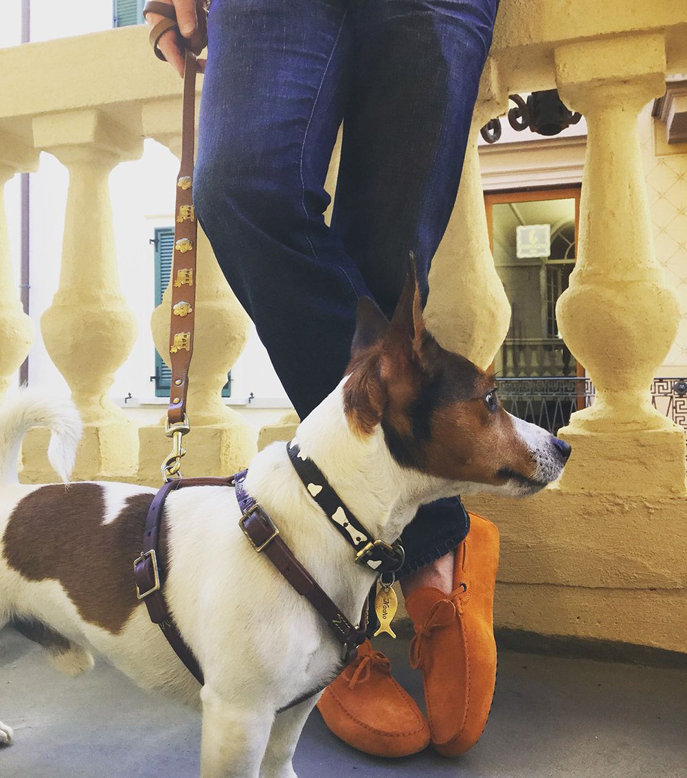 比凉鞋更丑的鞋子,比凉鞋舒服上档次的鞋子