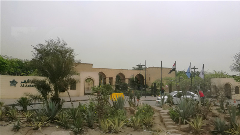 埃及阿联酋旅游十日上海出发,2019埃及之旅