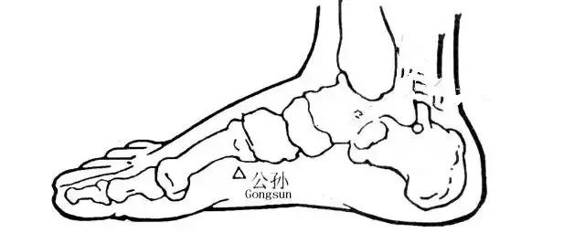 养生保健小知识如何养腿才健康,养生先养腿祛除寒湿百病消