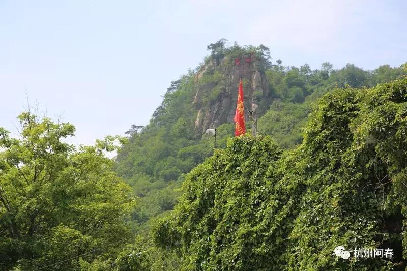 神游生态馆,抚顺新宾猴石森林公园天气预报