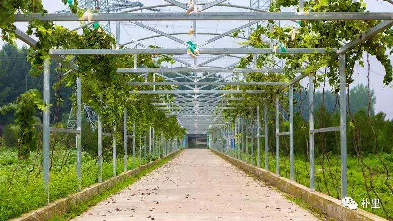 这个韩国欧巴11年前来西安，盖农场当农夫，还娶主播做媳妇儿