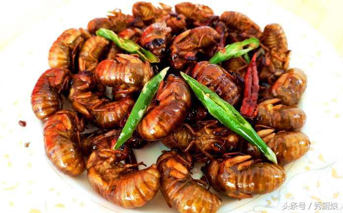 知了猴的最佳吃法,知了猴怎么做法才好吃