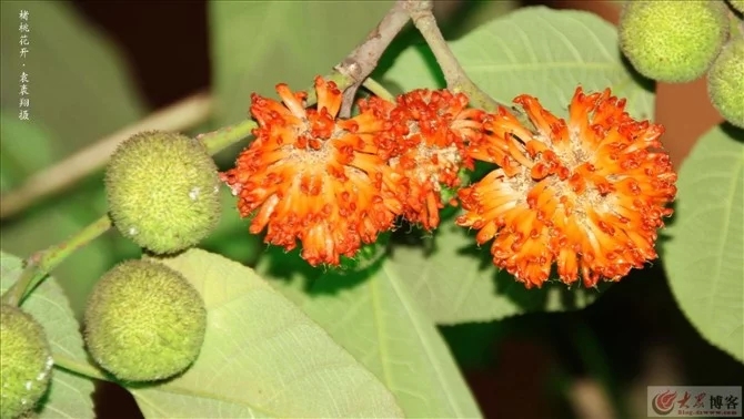 不同年龄段的童年回忆,你们的童年回忆是什么样