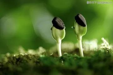 做农业都是为了赚钱别谈什么情怀,做农业为什么要有情怀