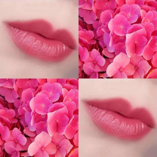 白菜价口红推荐色号,白菜价口红哪个牌子好