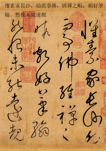 书法作品草书集锦,书法天下第一草书作品