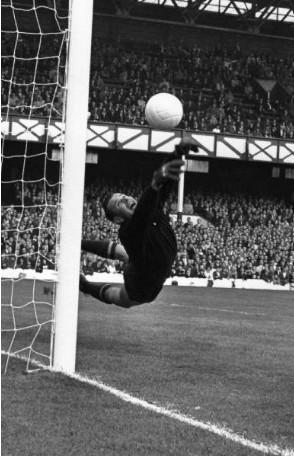 足球历史最强阵容11人,足球历史上各个位置的十大球星