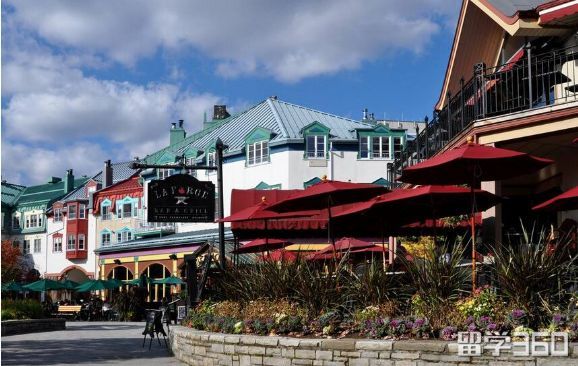 加拿大卡比兰诺特色课程,加拿大卡比兰诺大学排名