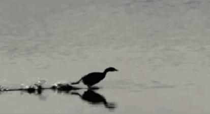 有没有快速做gif图的方法,如何快速制作gif动图