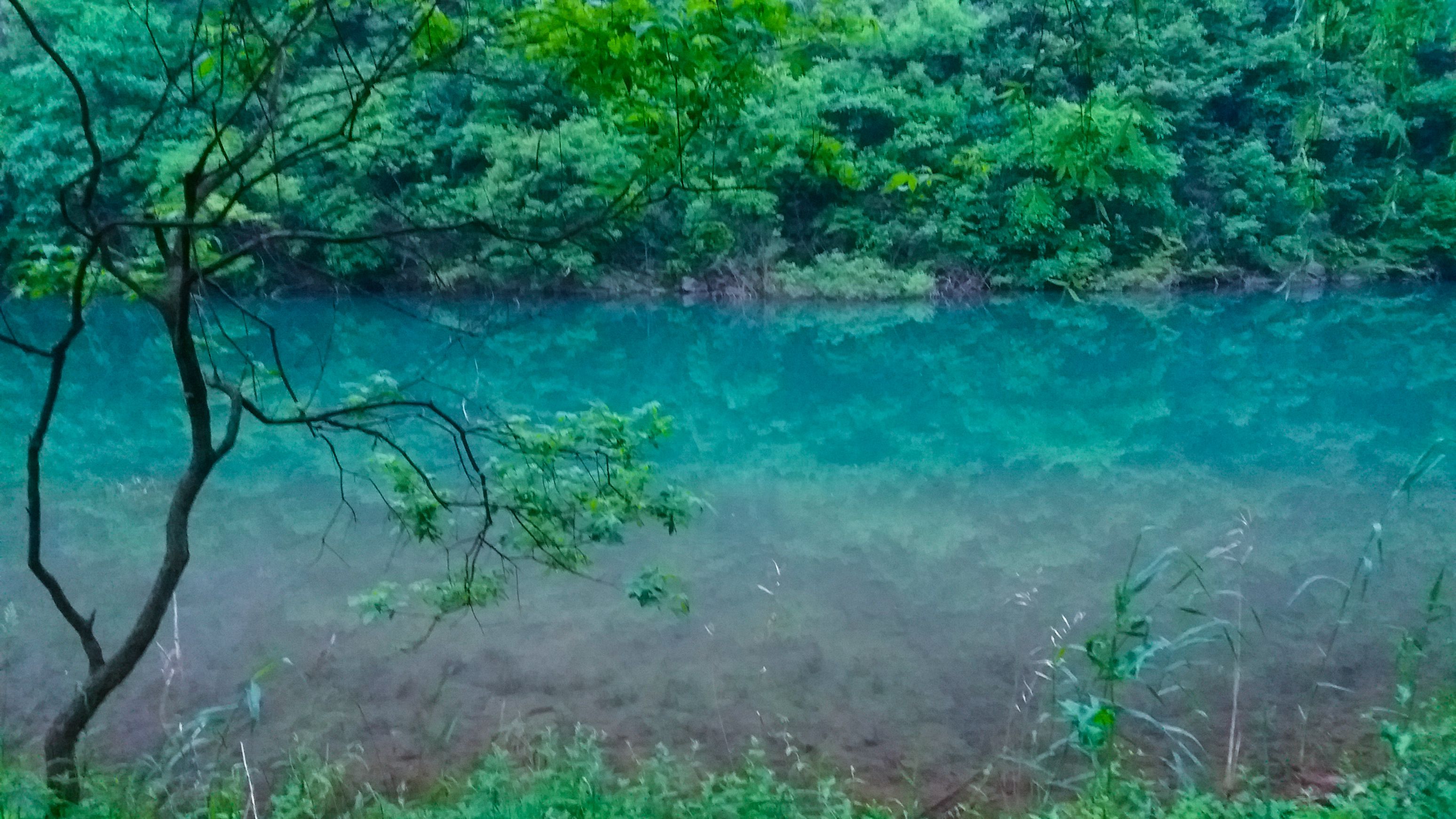 武汉周边避暑景点推荐,武汉夏天避暑旅游攻略