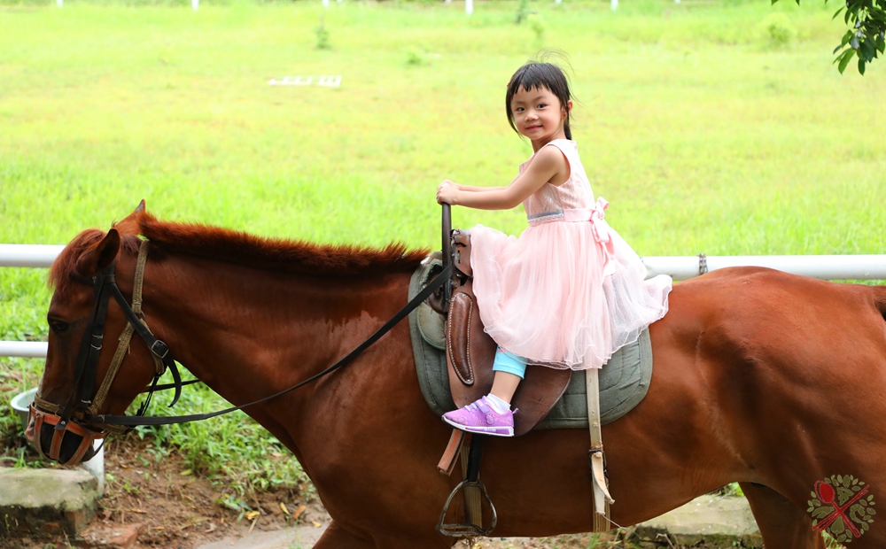 暑假带孩子逛公园,带孩子玩跳楼