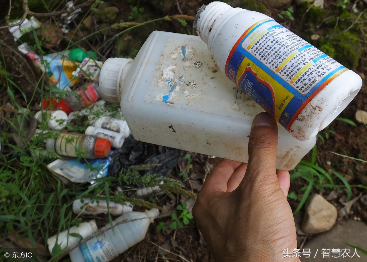 豆角除草剂药害用什么解除药害,作物农药药害怎么来进行急救