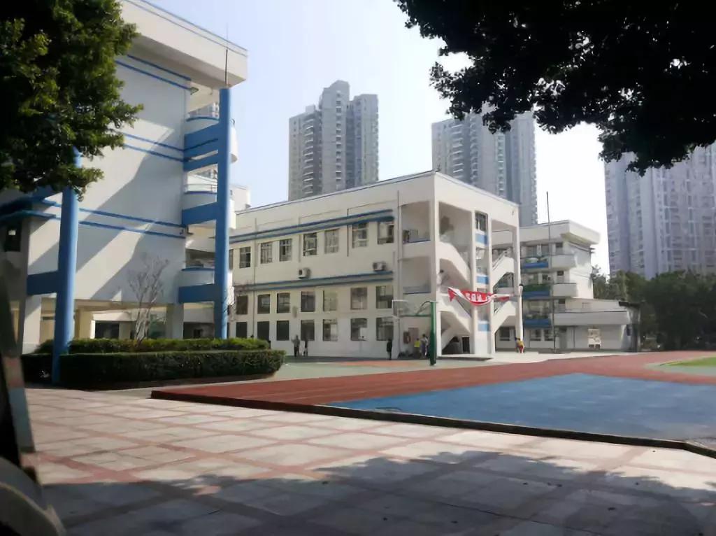 深圳荔园小学,深圳八卦岭荔园小学