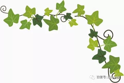 中西药别随便合用,哪些中西药不能同服