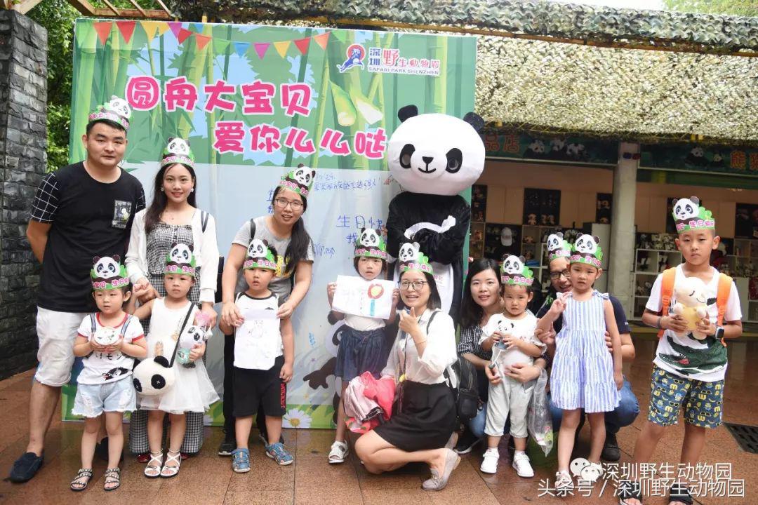 圆舟8岁啦！品足球蛋糕，预测世界杯，猫粉冒雨为他庆生！