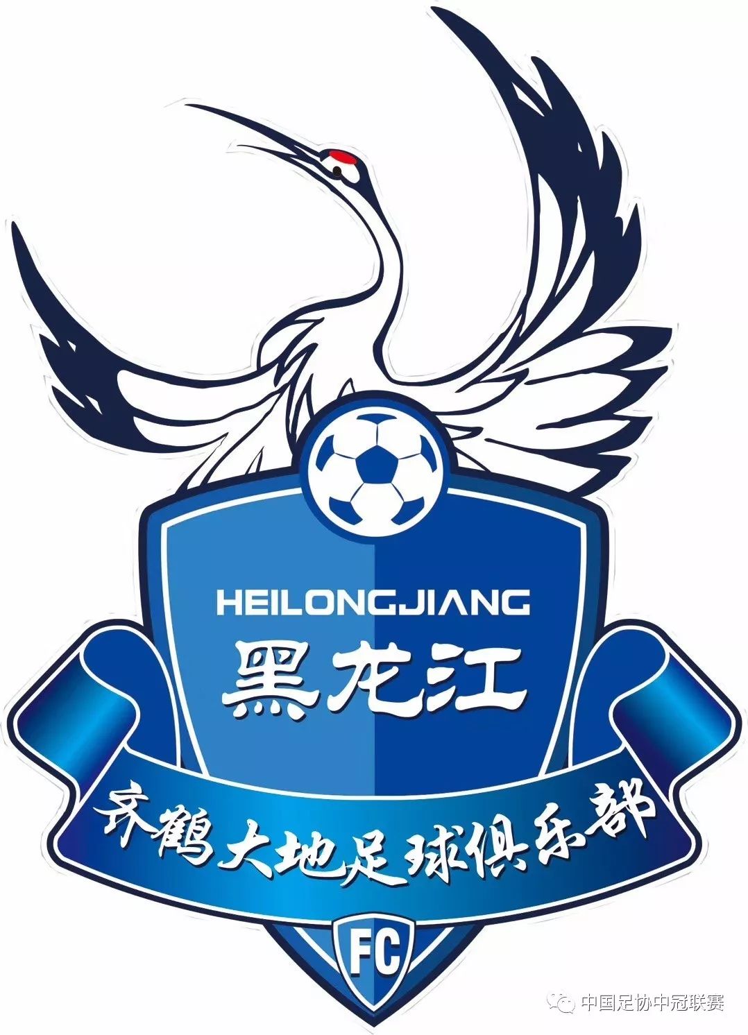 齐齐哈尔齐鹤大地足球俱乐部,齐齐哈尔齐鹤大地主场