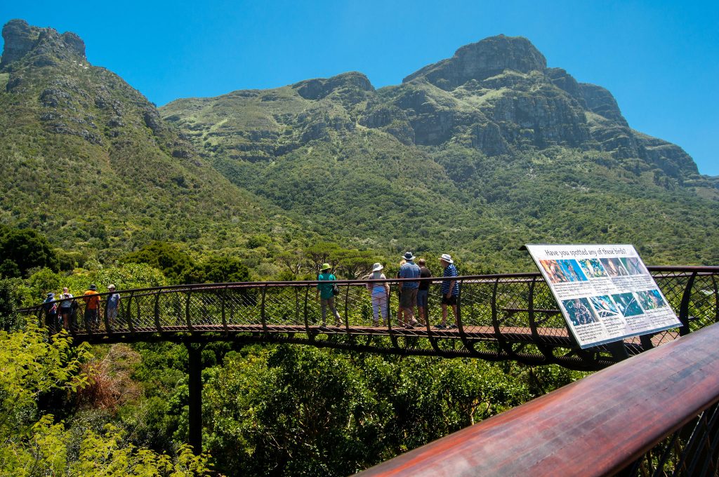 跟着访问非洲去旅游——彩虹之国南非