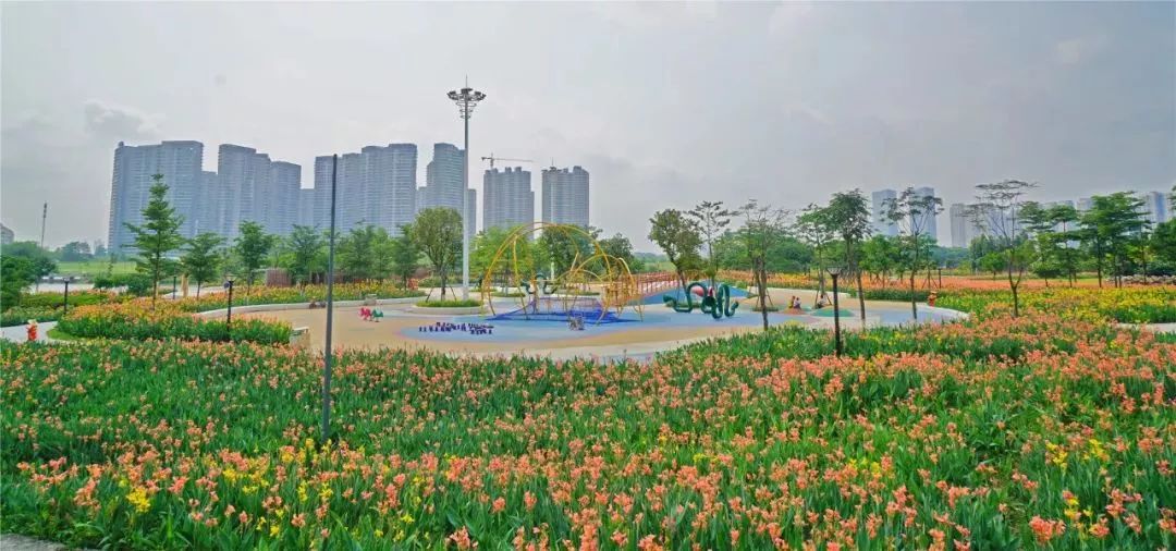 佛山新港搬迁最新消息,佛山新港码头最新动向