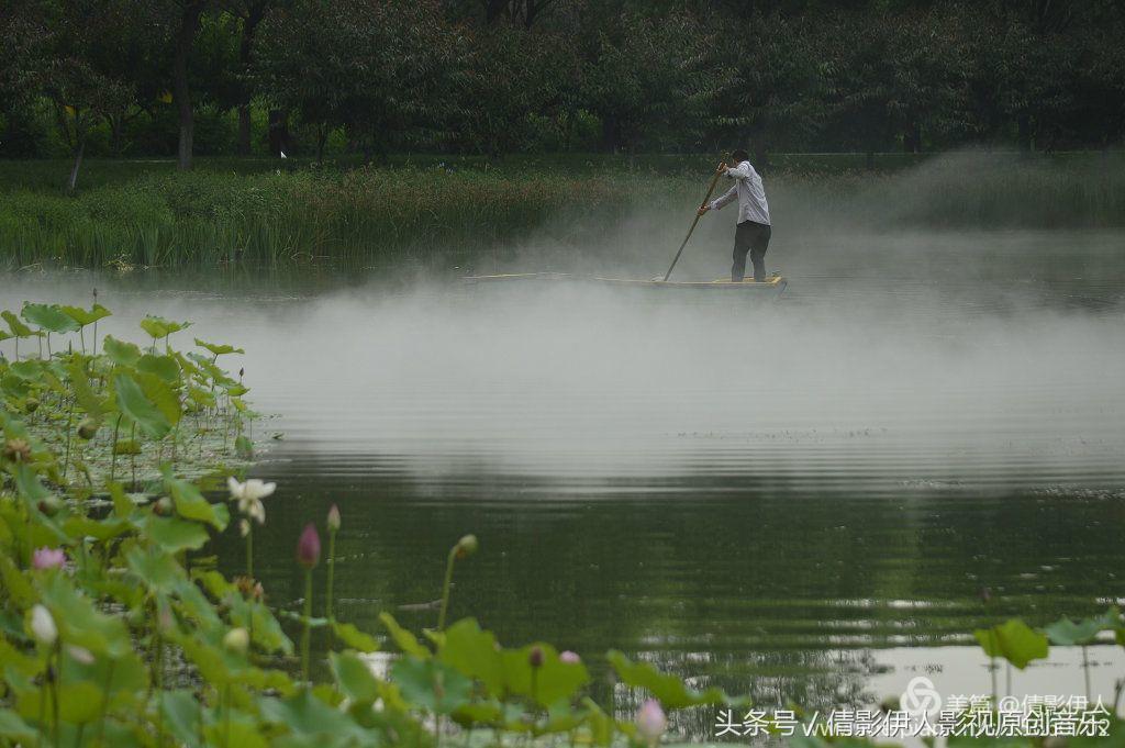 荷花之歌,立夏荷花音乐