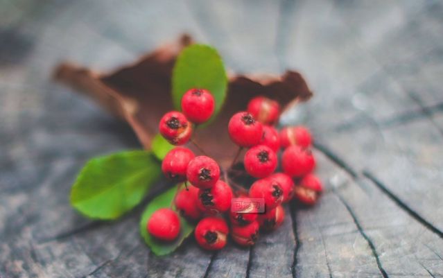 十大最著名的心理学效应经常出现,世界公认七大效应