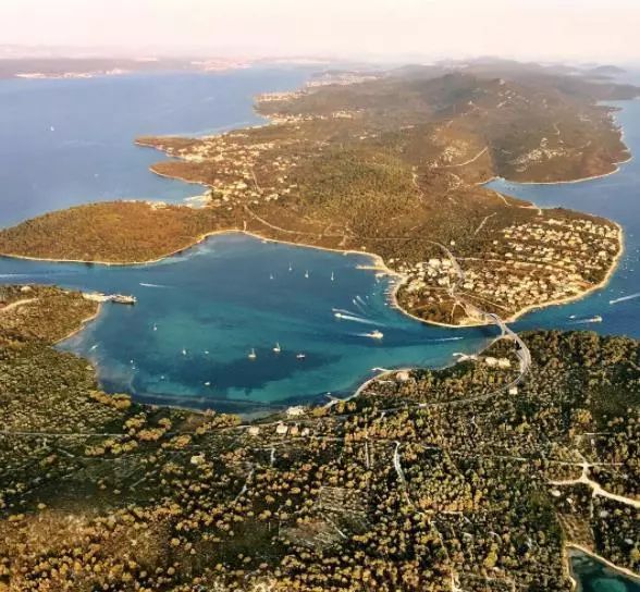 一切从梵高说起,一切从煎蛋说起