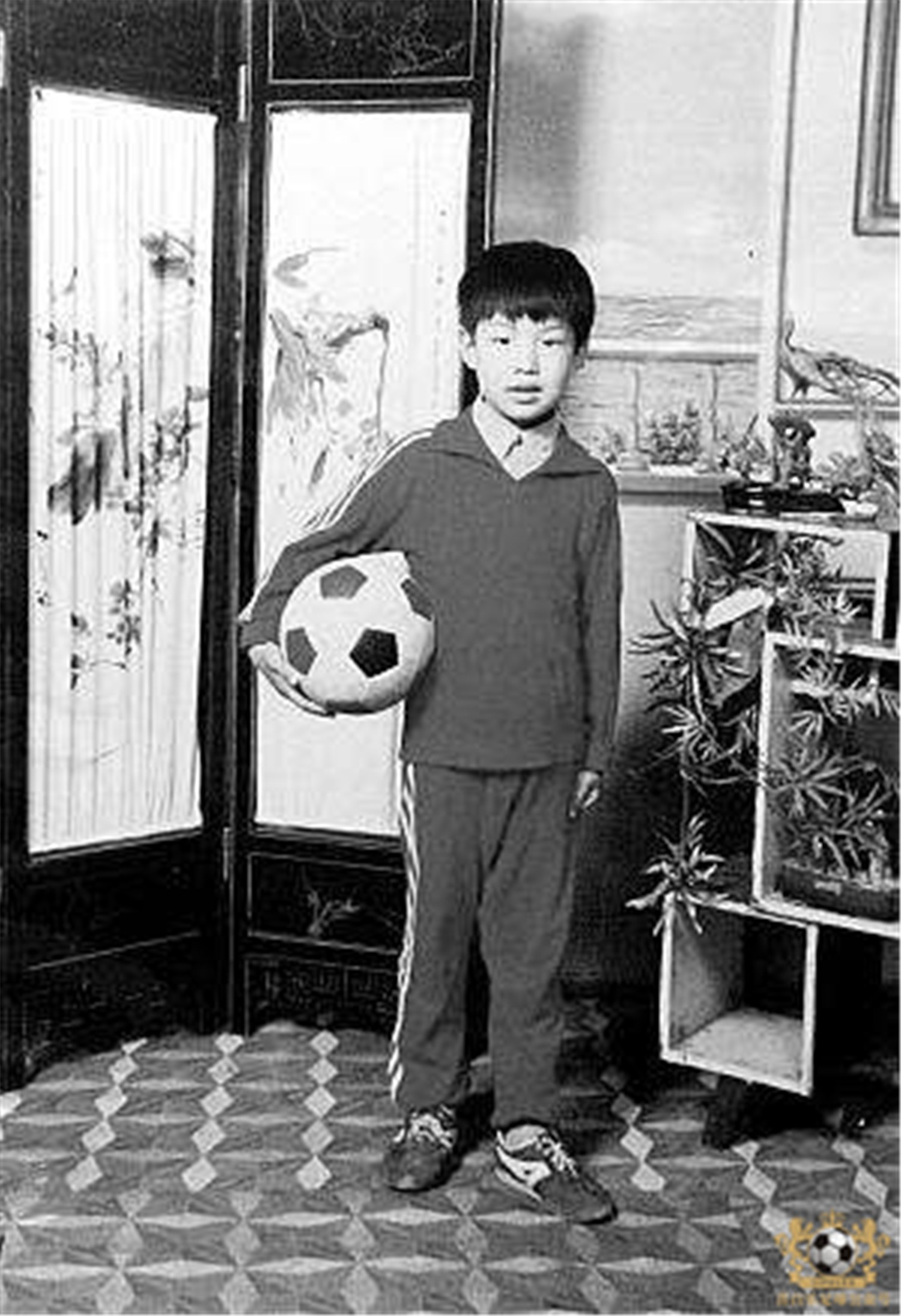 津门足坛双百颂陈金刚,津门足坛双百颂书籍