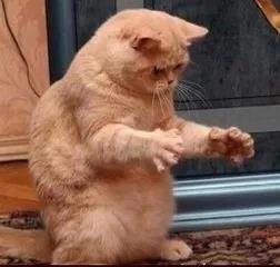 感受面霜,体验贵妇级面霜