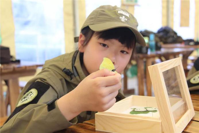 童年的滋味就是-嘴角有笑，抬头有星星——大露营实录Day6