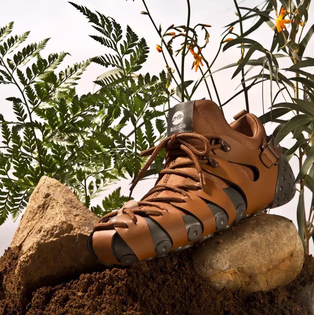 还真有一些限量版球鞋，在莆田也不一定能找到！