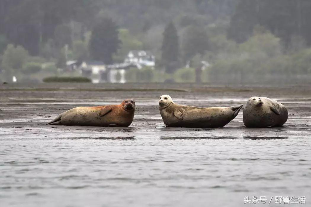 世界上有哪些人类禁地,世界上有秘境吗